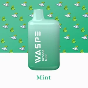 WASPE 5000 Puffs Mint Einweg E-Zigaretten Direkter Fabrikverkauf Höchste Qualität Garantiert